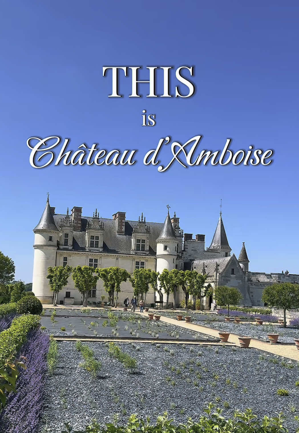Loire Valley (Amboise)