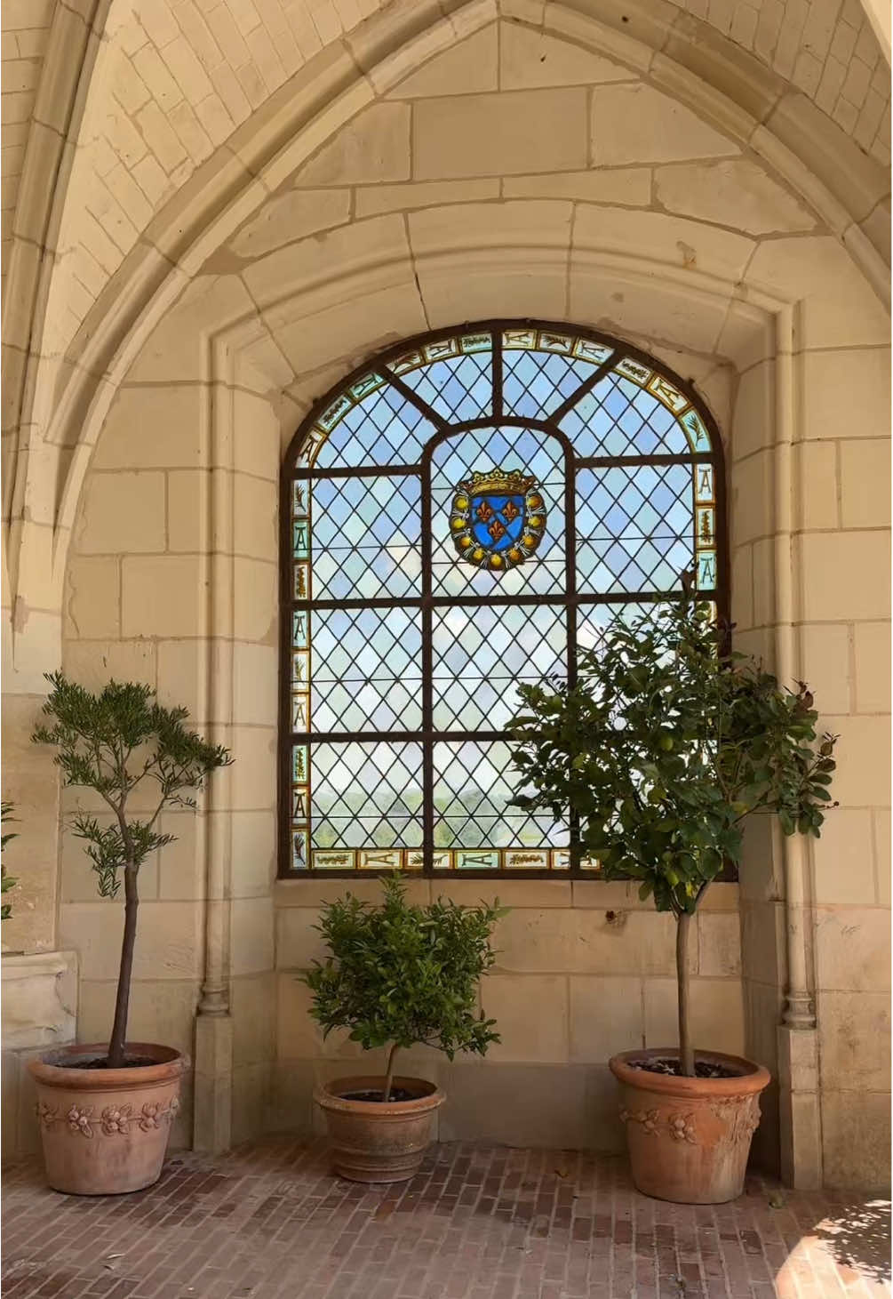 Loire Valley (Amboise)