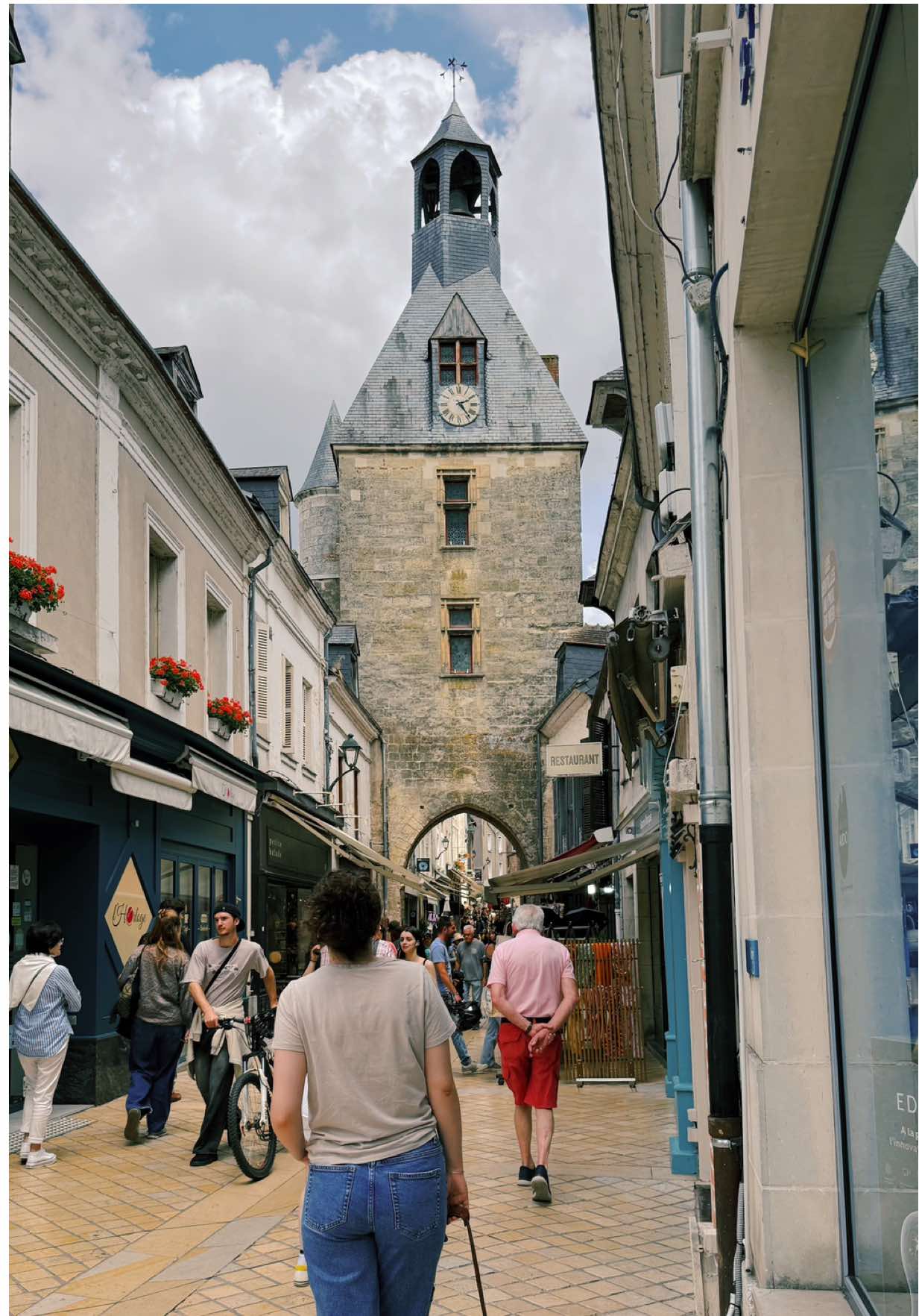 Loire Valley (Amboise)