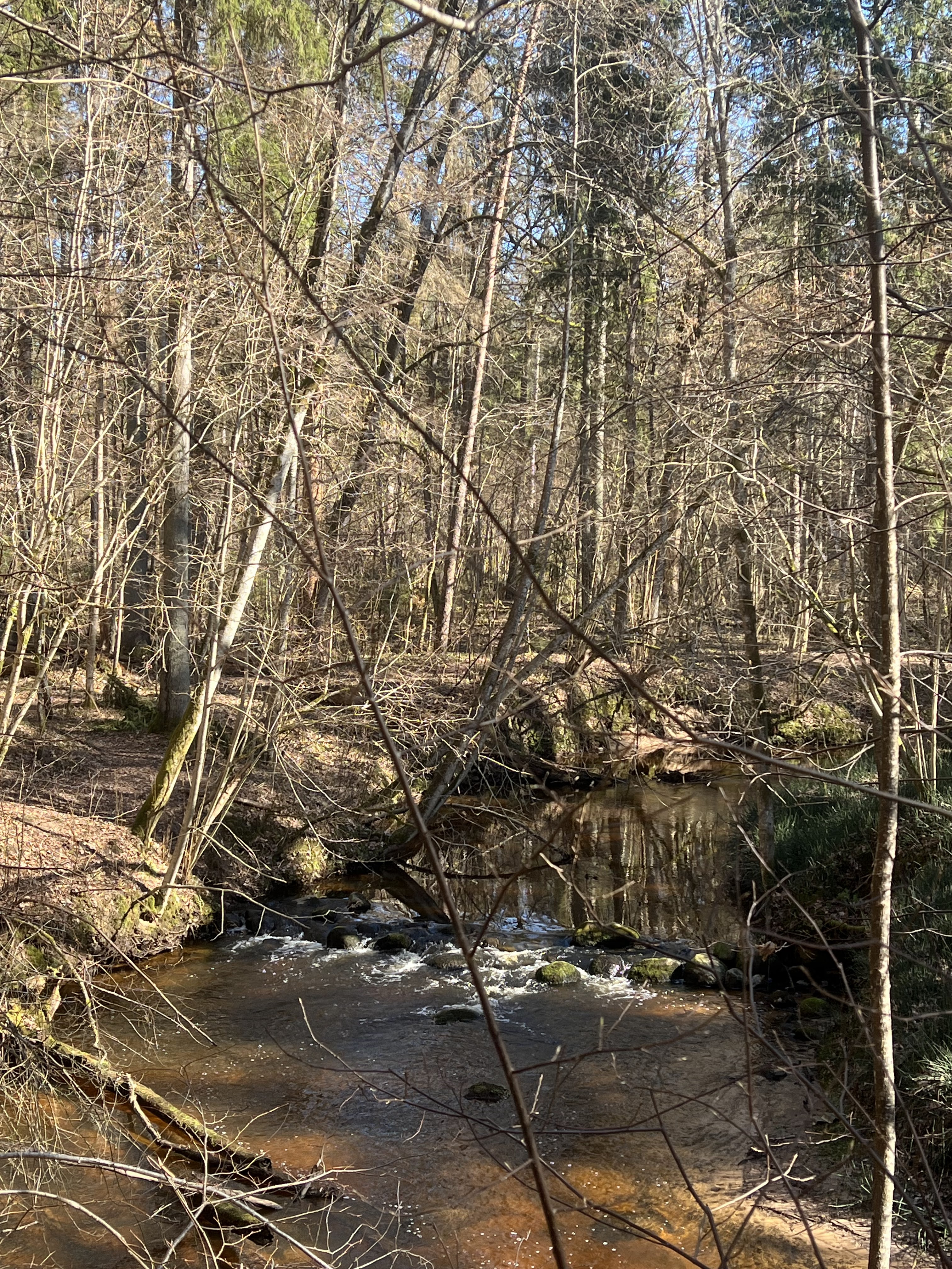 Изображение для Upe