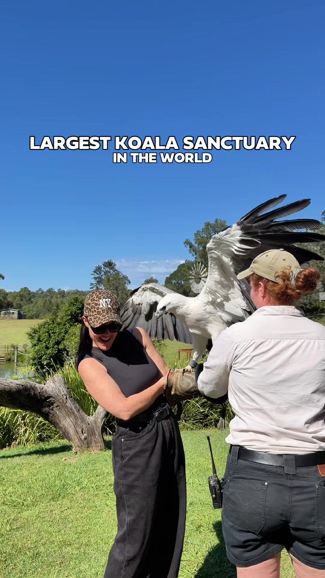 Lone Pine Koala Sanctuary