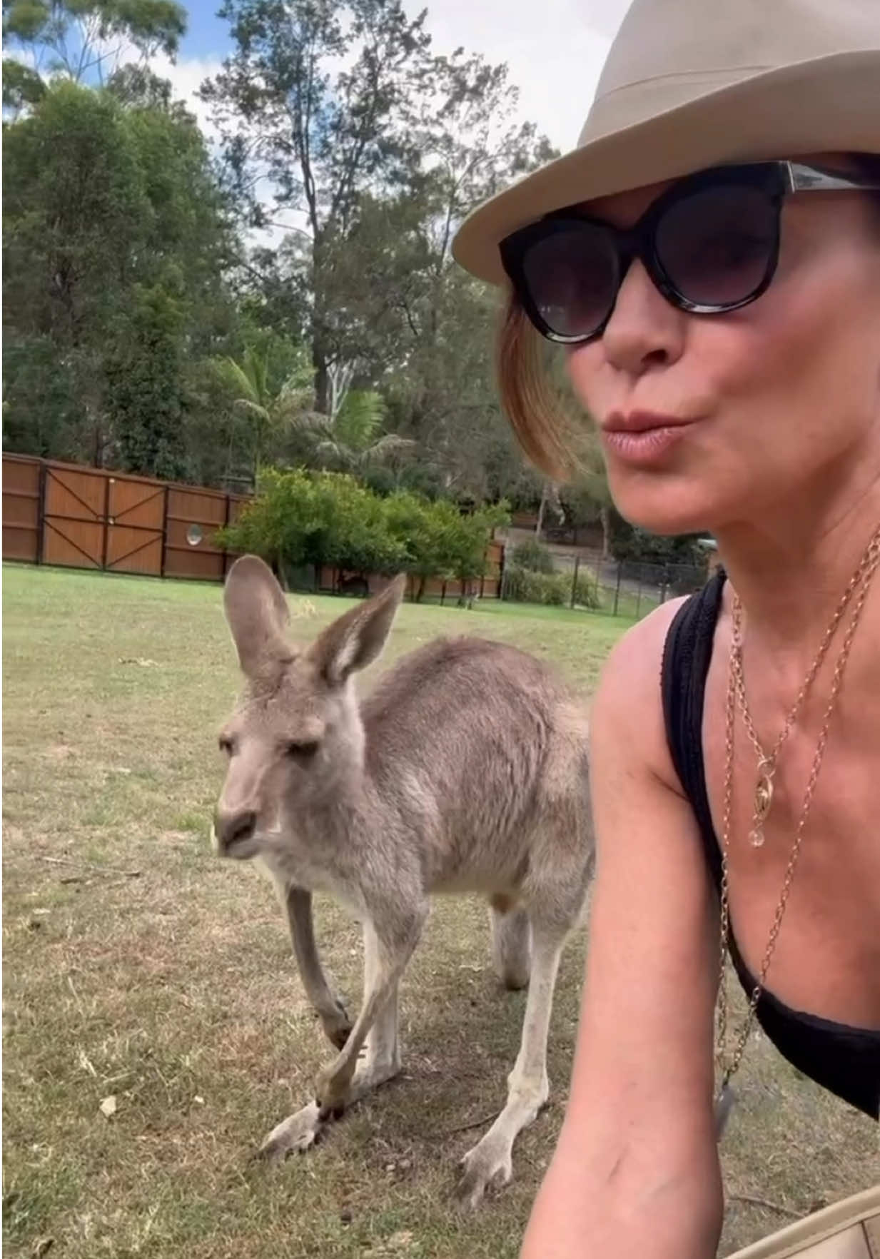 Lone Pine Koala Sanctuary