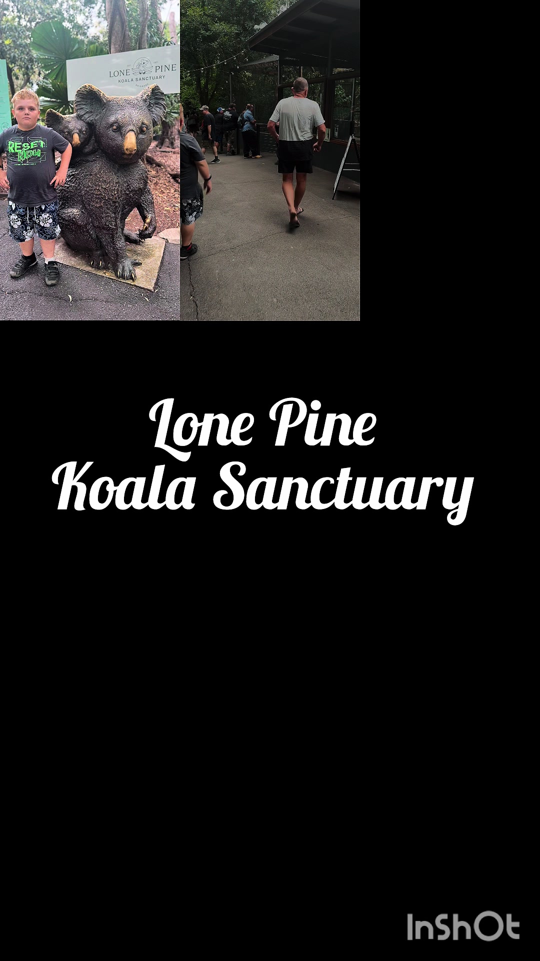 Lone Pine Koala Sanctuary