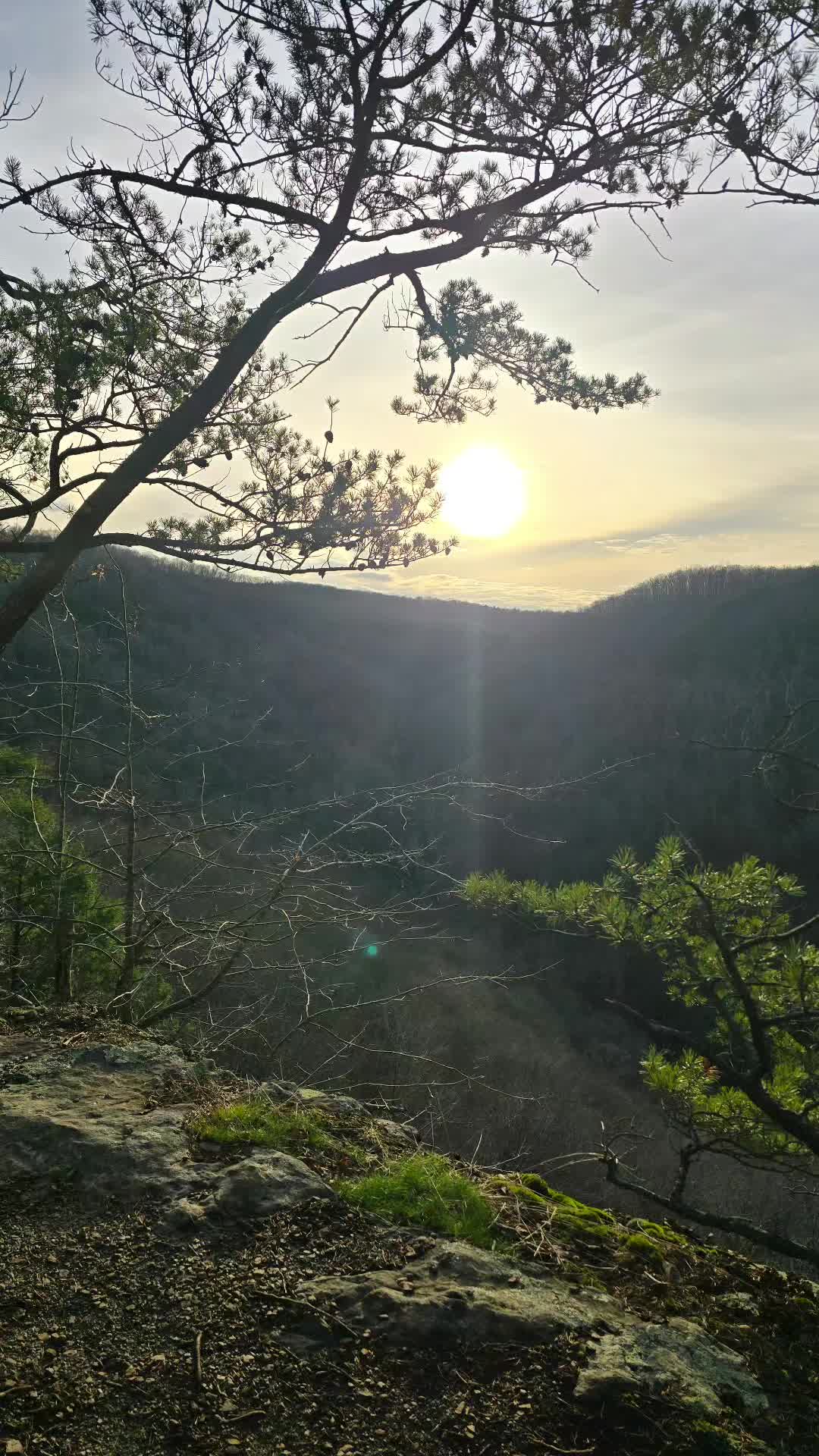 Long Point Trail