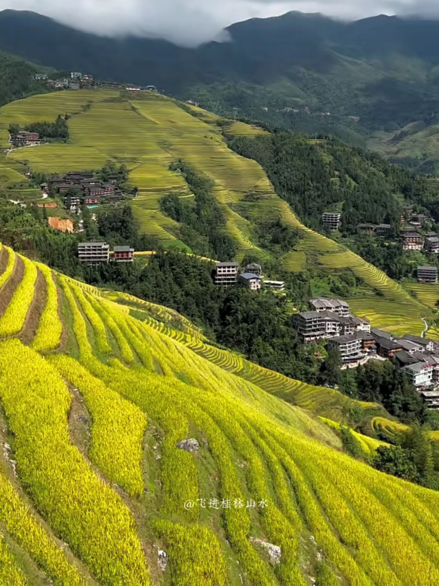 Longji Rice Terraces (Драконий хребет, район Луншэн)