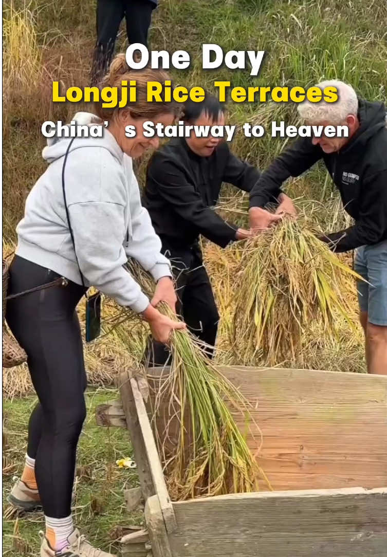Longji Rice Terraces (Драконий хребет, район Луншэн)