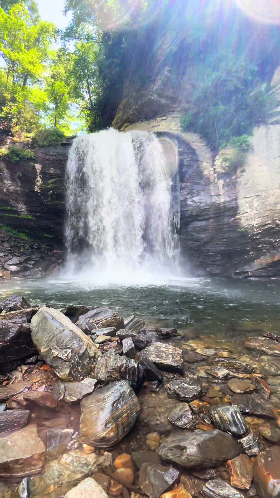 Looking Glass Falls