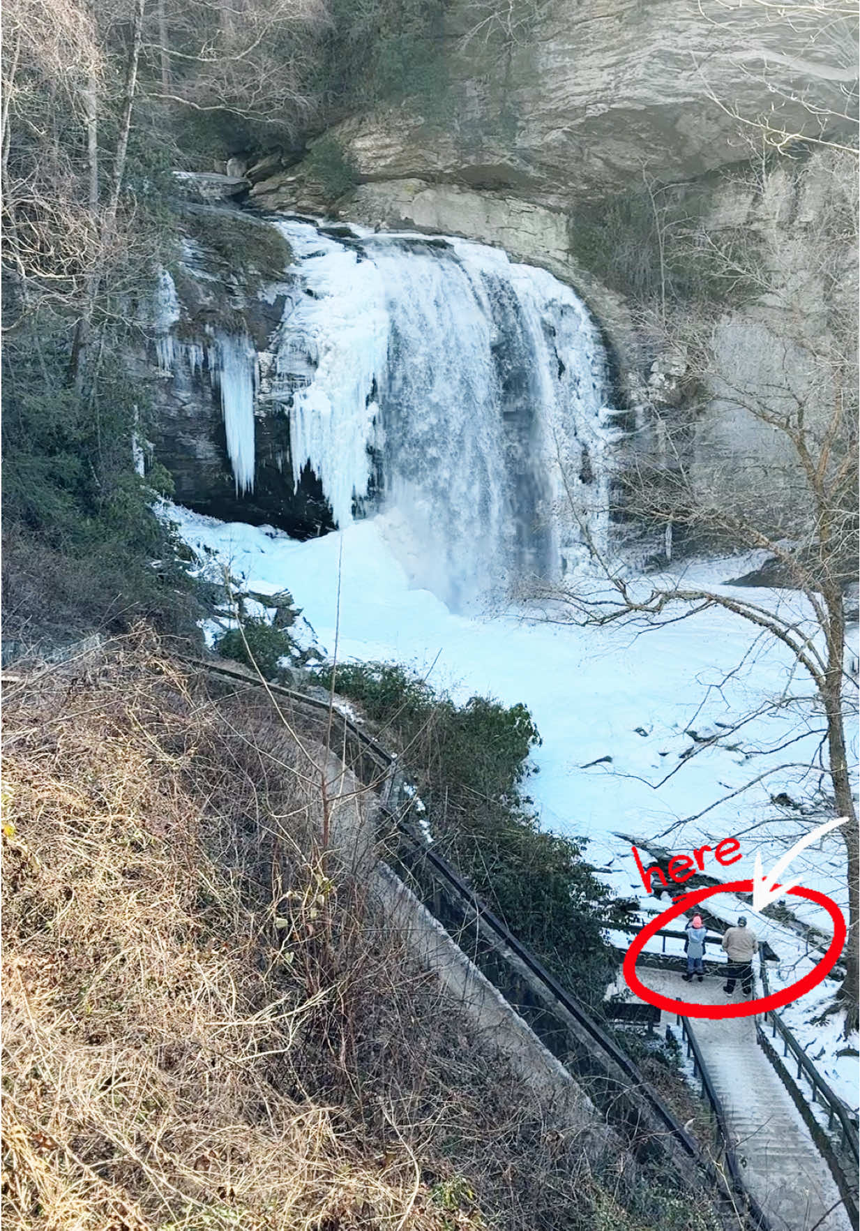 Looking Glass Falls
