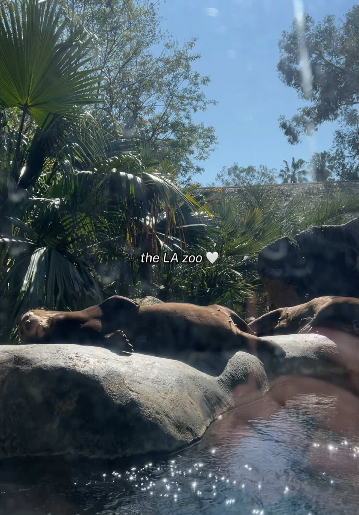 Los Angeles Zoo