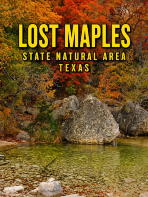Lost Maples State Natural Area