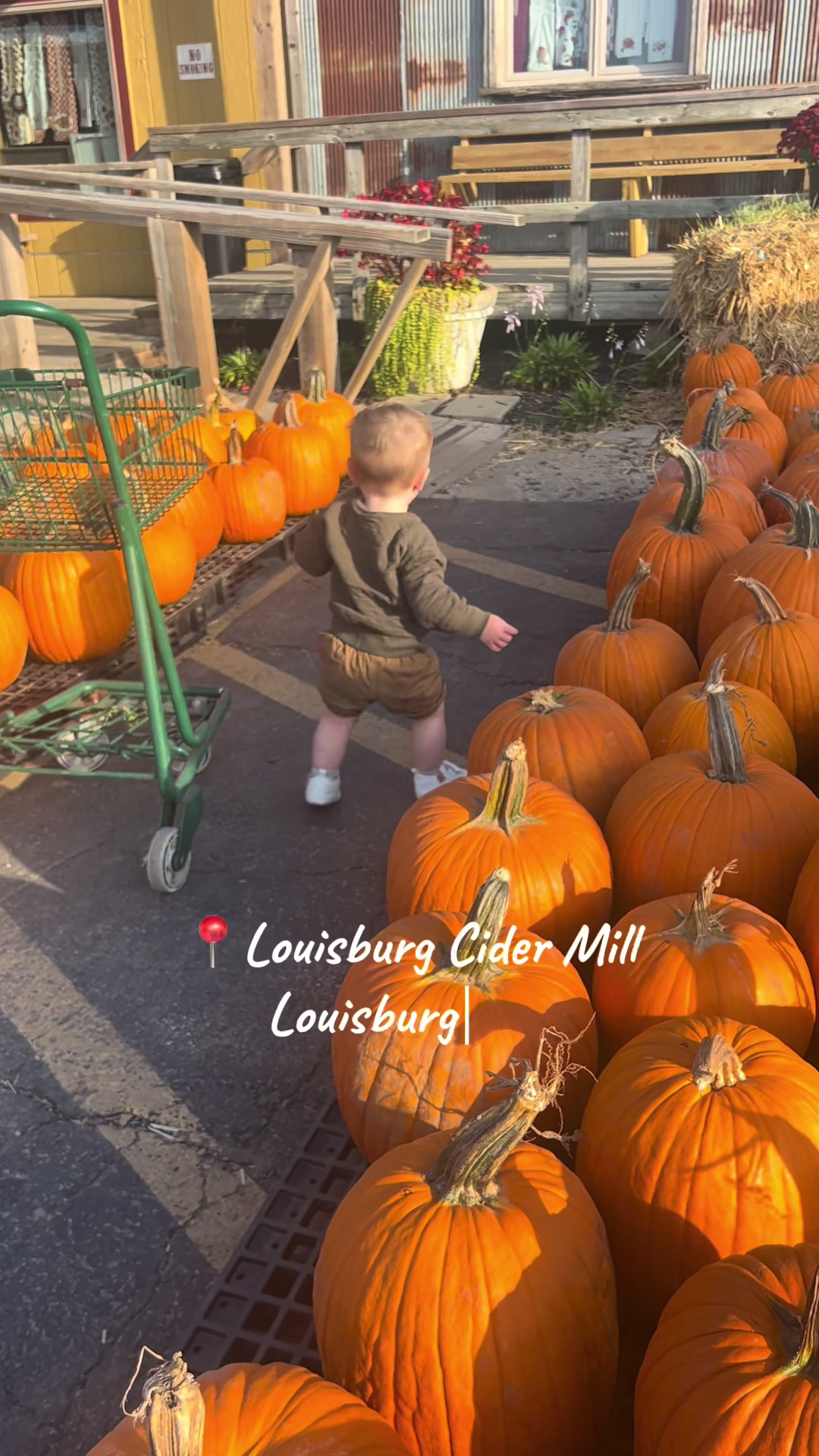 Louisburg Cider Mill, KS
