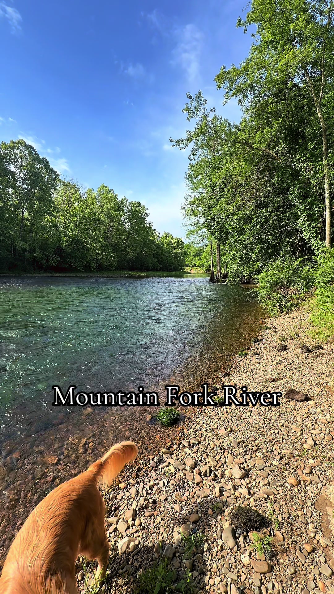 Lower Mountain Fork River