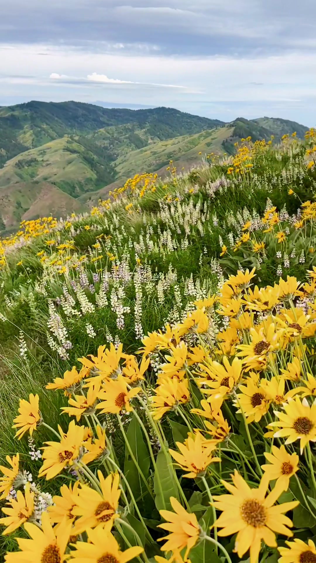 Lucky Peak State Park