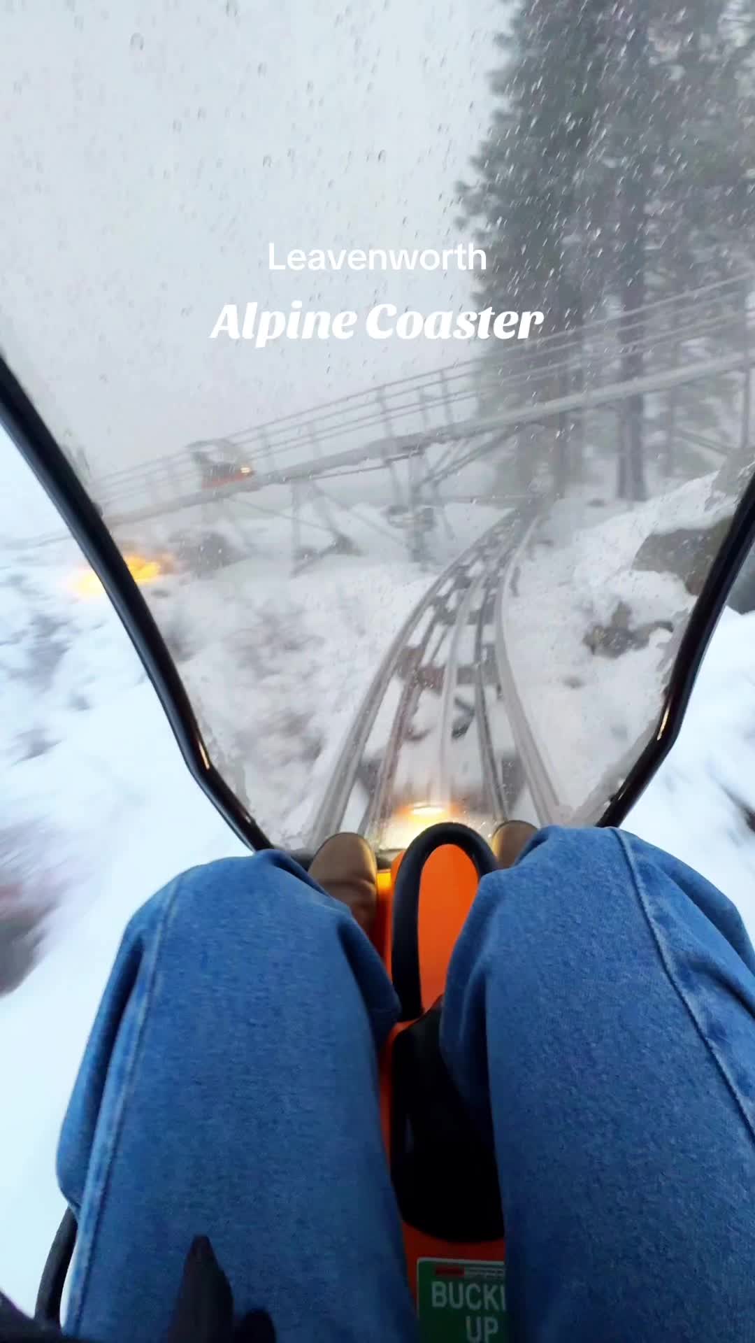 Luge Alpine Coaster