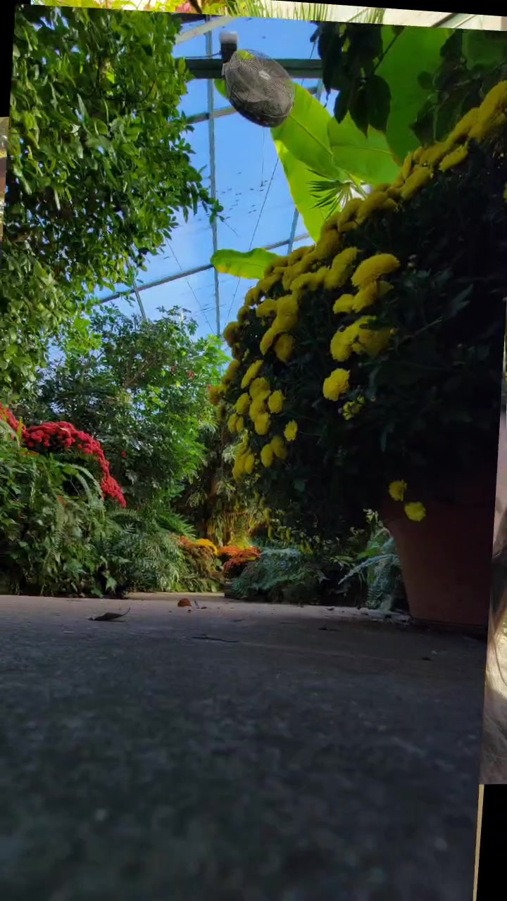 Luthy Botanical Garden