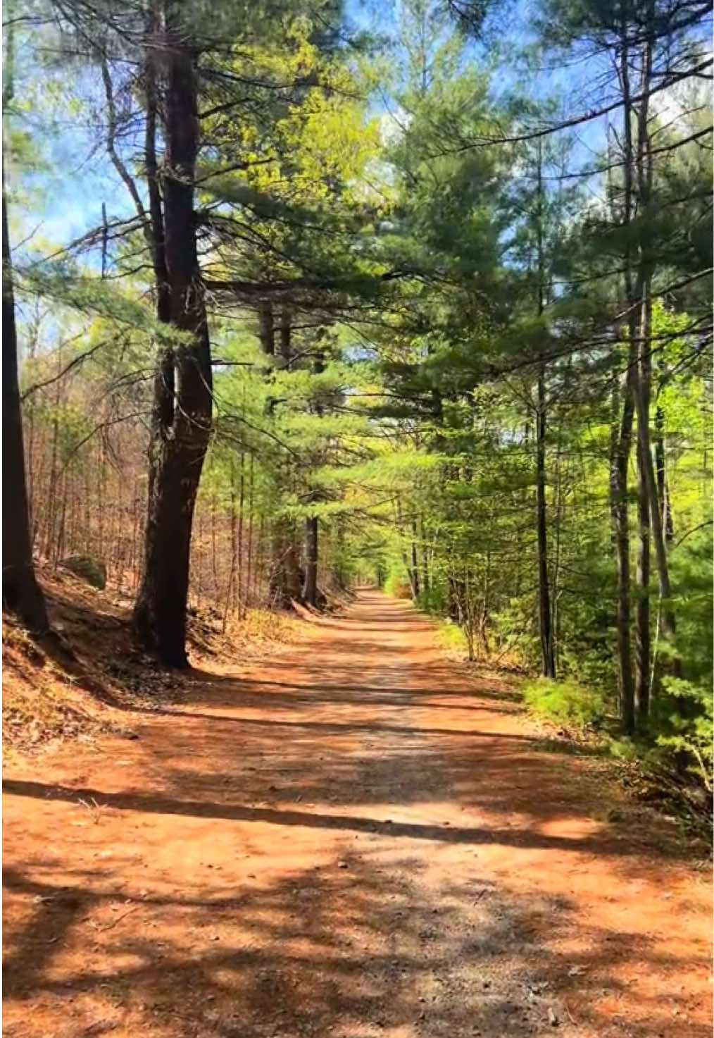 Lynn Woods Reservation