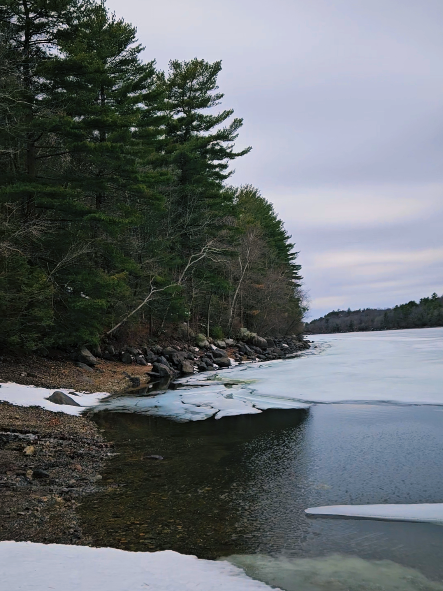Lynn Woods Reservation