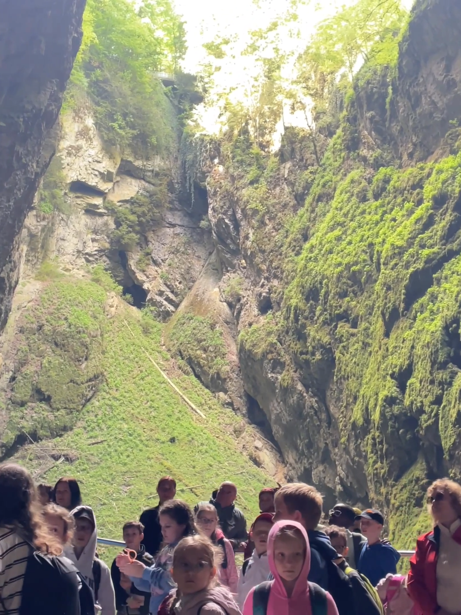 מערות פונקבה (Punkva Caves)