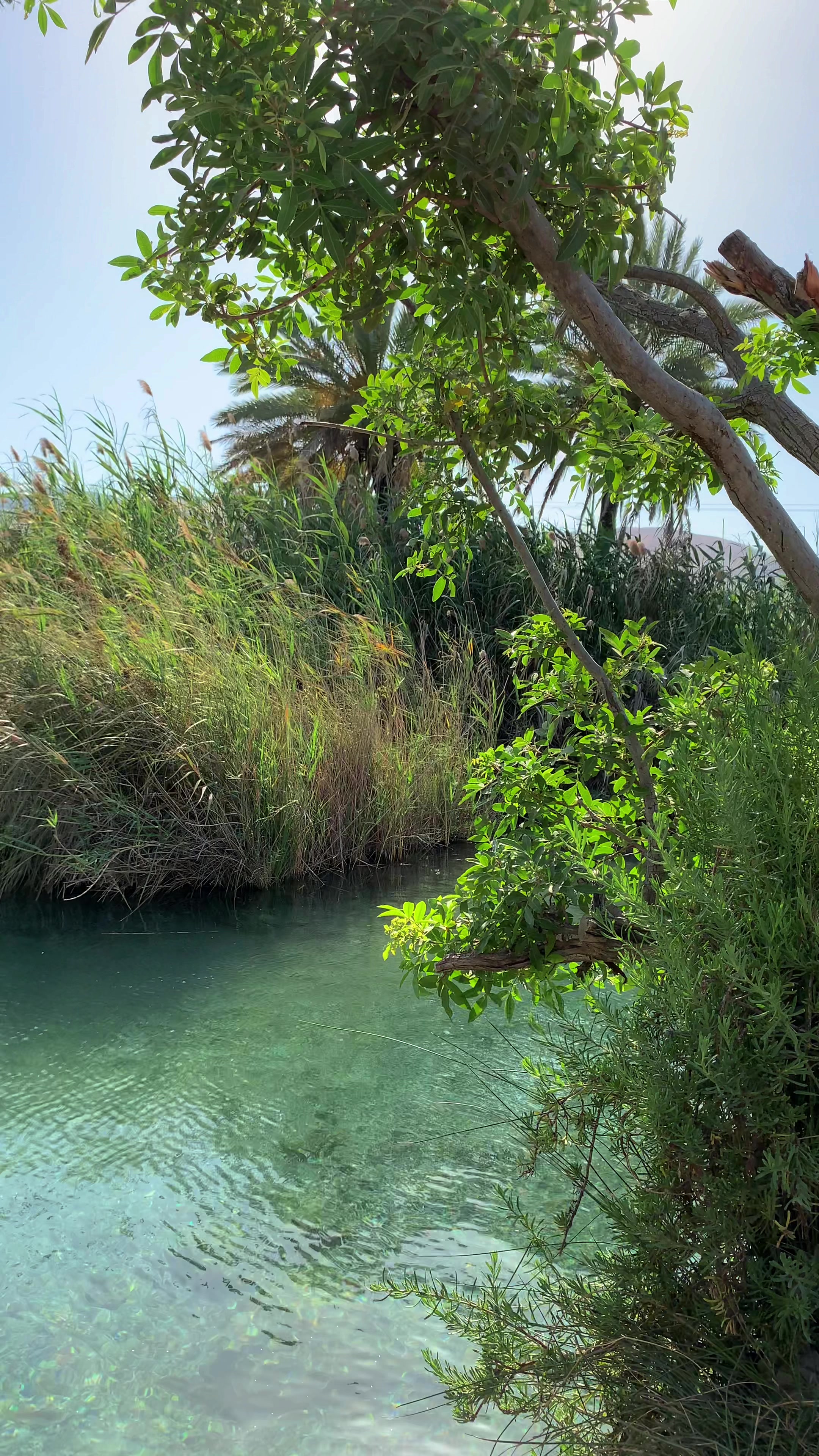 מעיינות תרמיים Eftalou