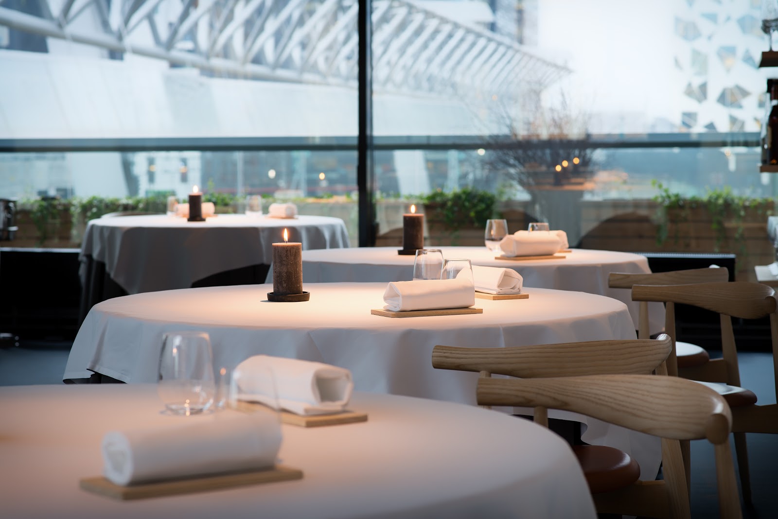 תמונה עבור Maaemo