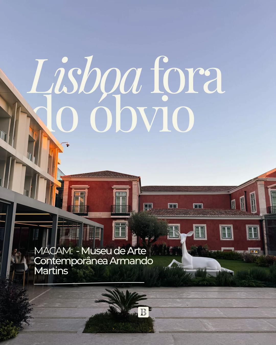 MACAM – Museu de Arte Contemporânea Armando Martins