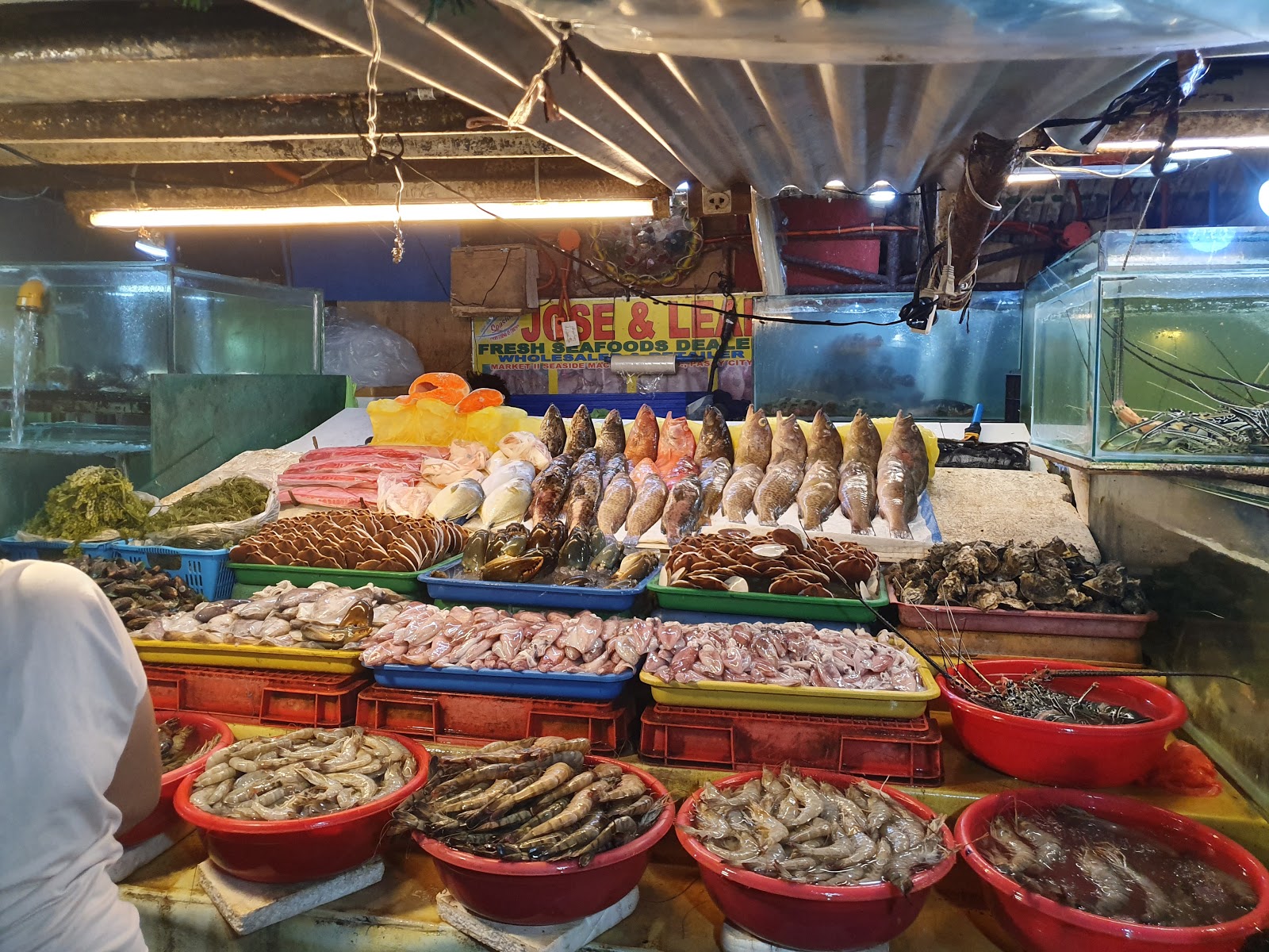 תמונה עבור Magsaysay Dampa