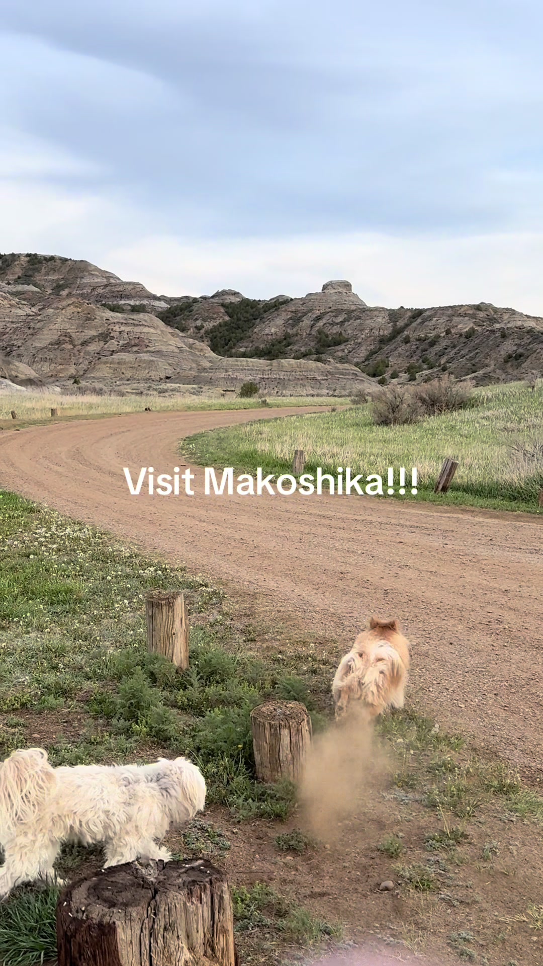 Makoshika State Park