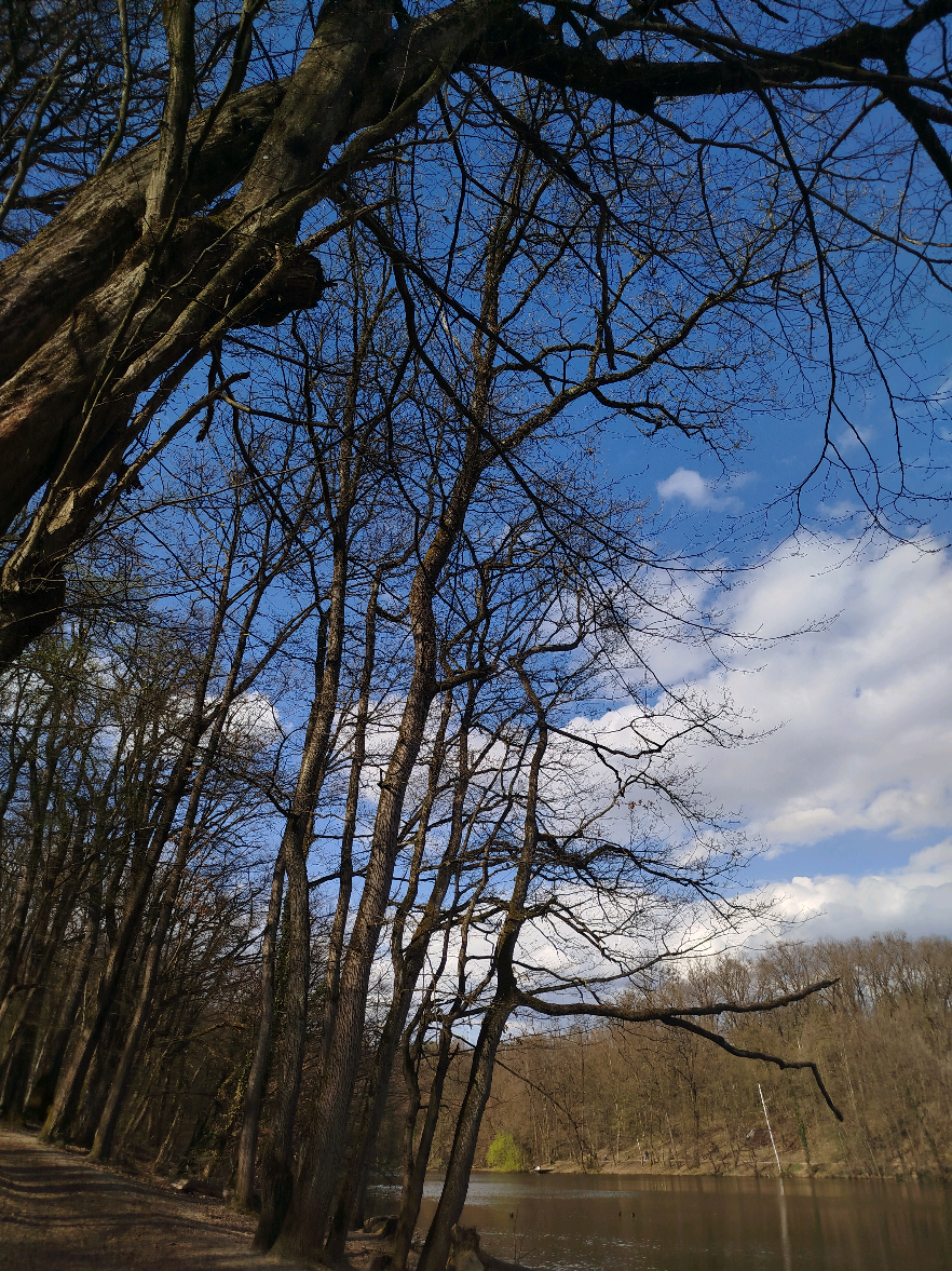 Maksimir Park