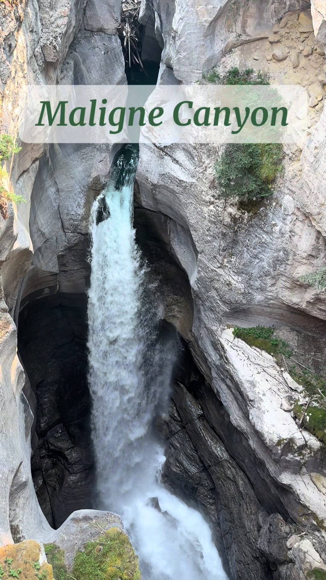 Maligne Canyon