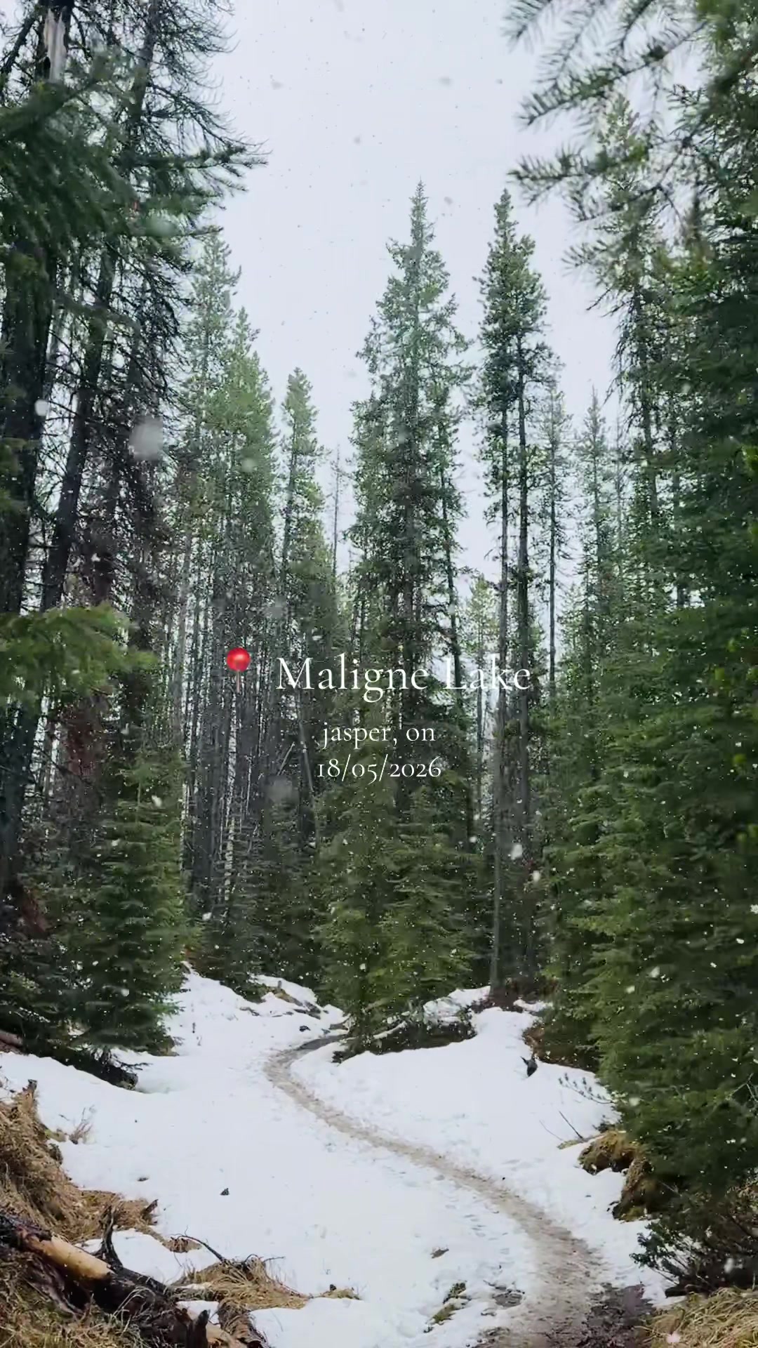 Maligne Lake