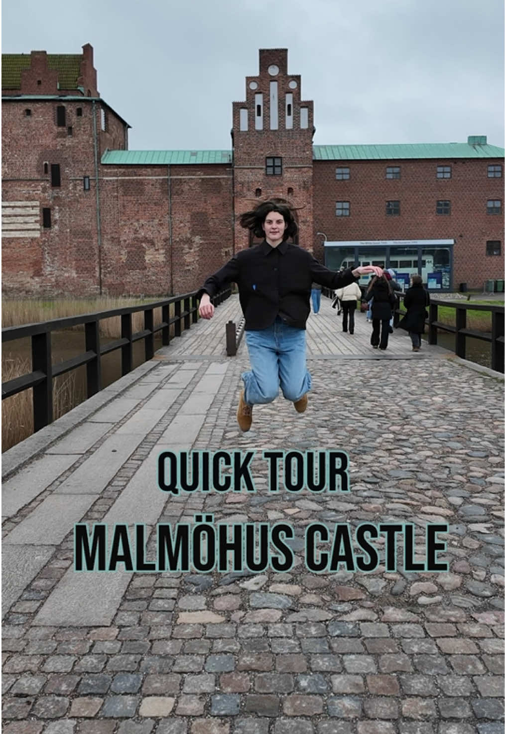 Malmöhus Castle (Замок Мальмё, Мальмё)