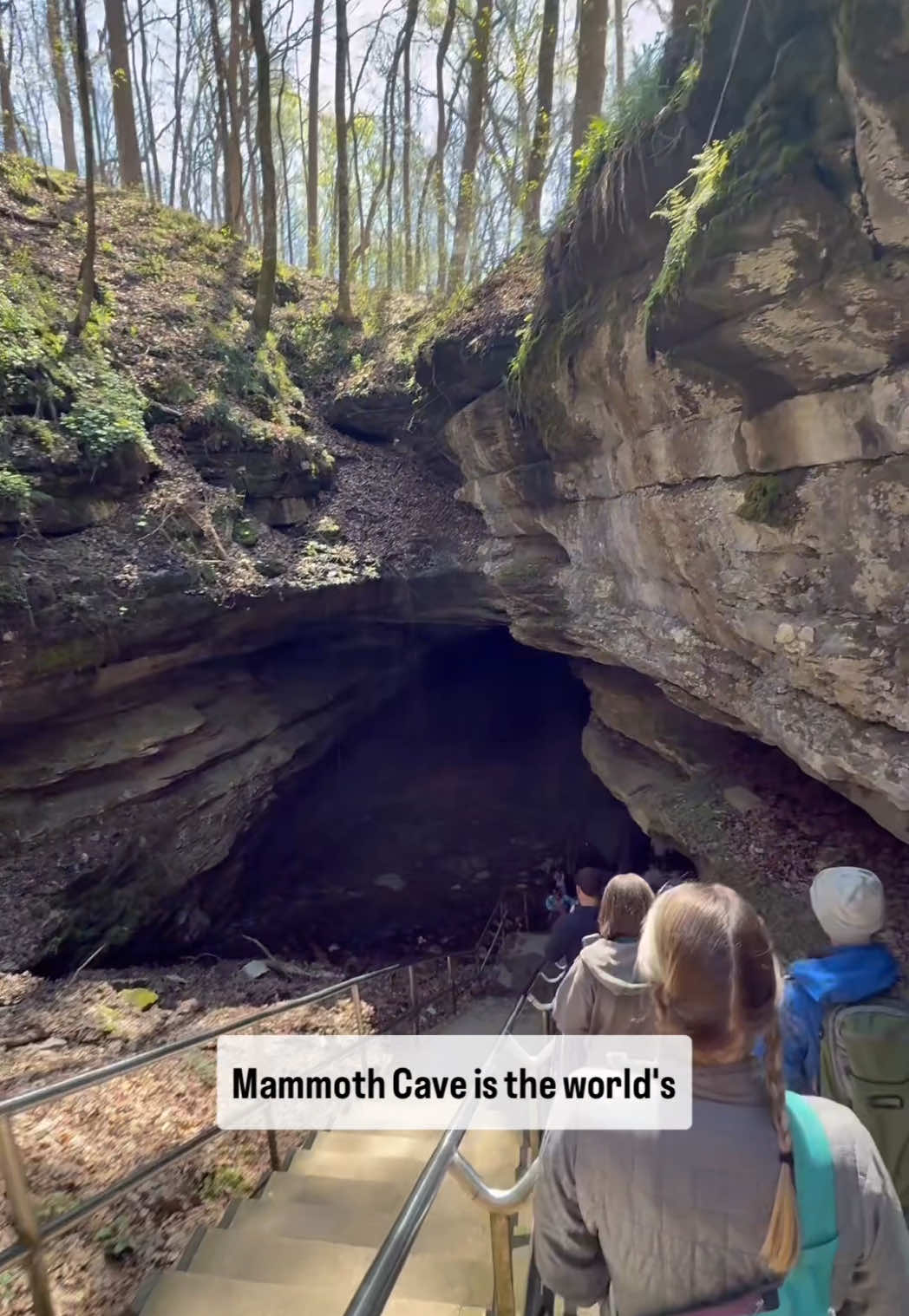 Mammoth Cave National Park