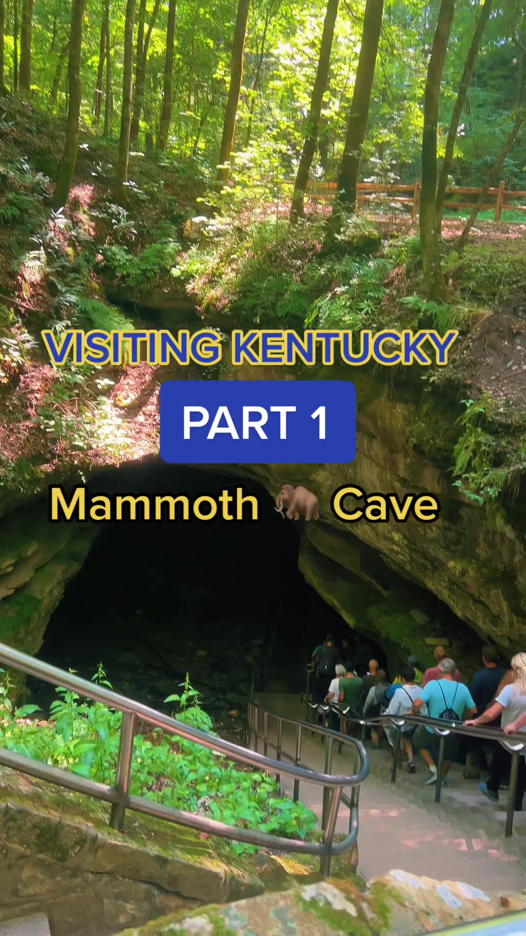 Mammoth Cave National Park