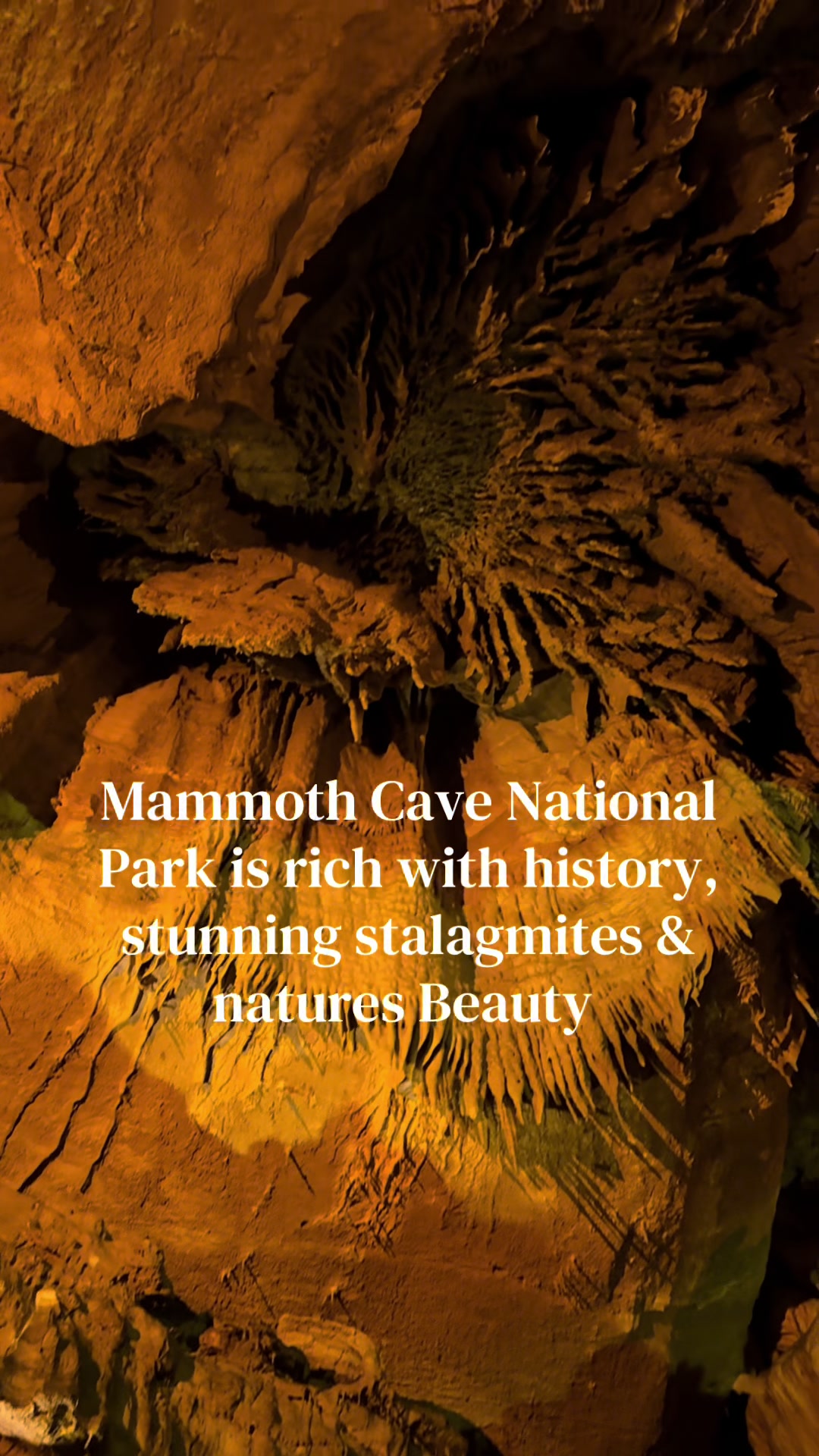 Mammoth Cave National Park