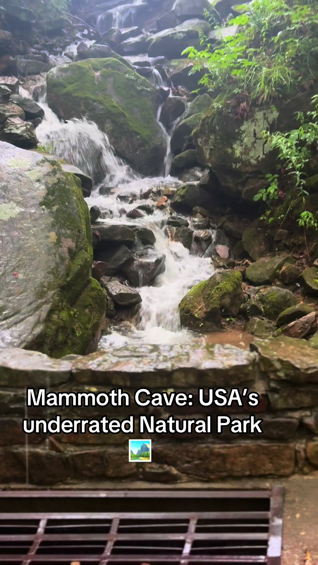Mammoth Cave National Park