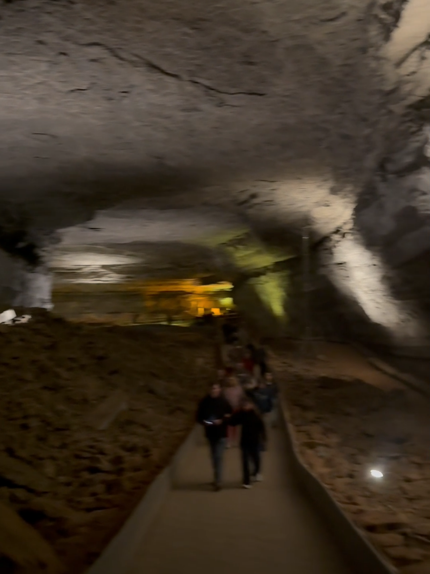 Mammoth Cave National Park
