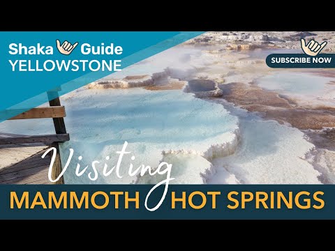 Mammoth Hot Springs