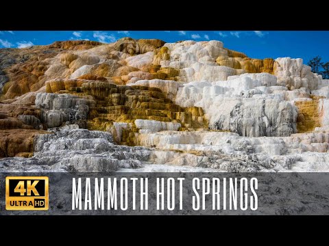 Mammoth Hot Springs