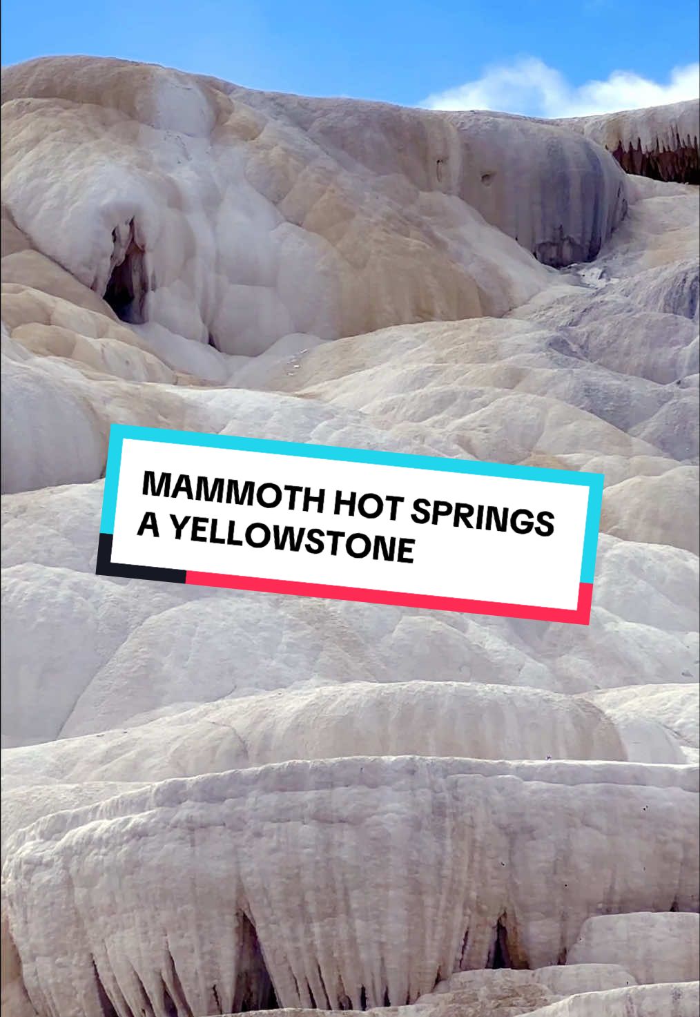 Mammoth Hot Springs