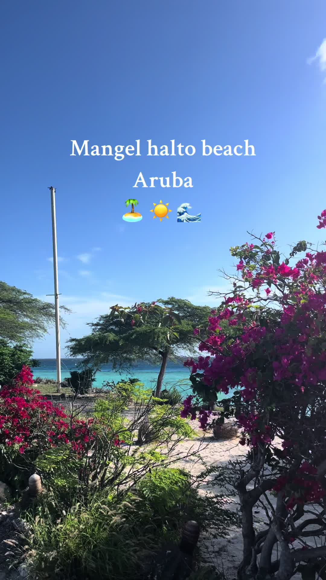 Mangel Halto