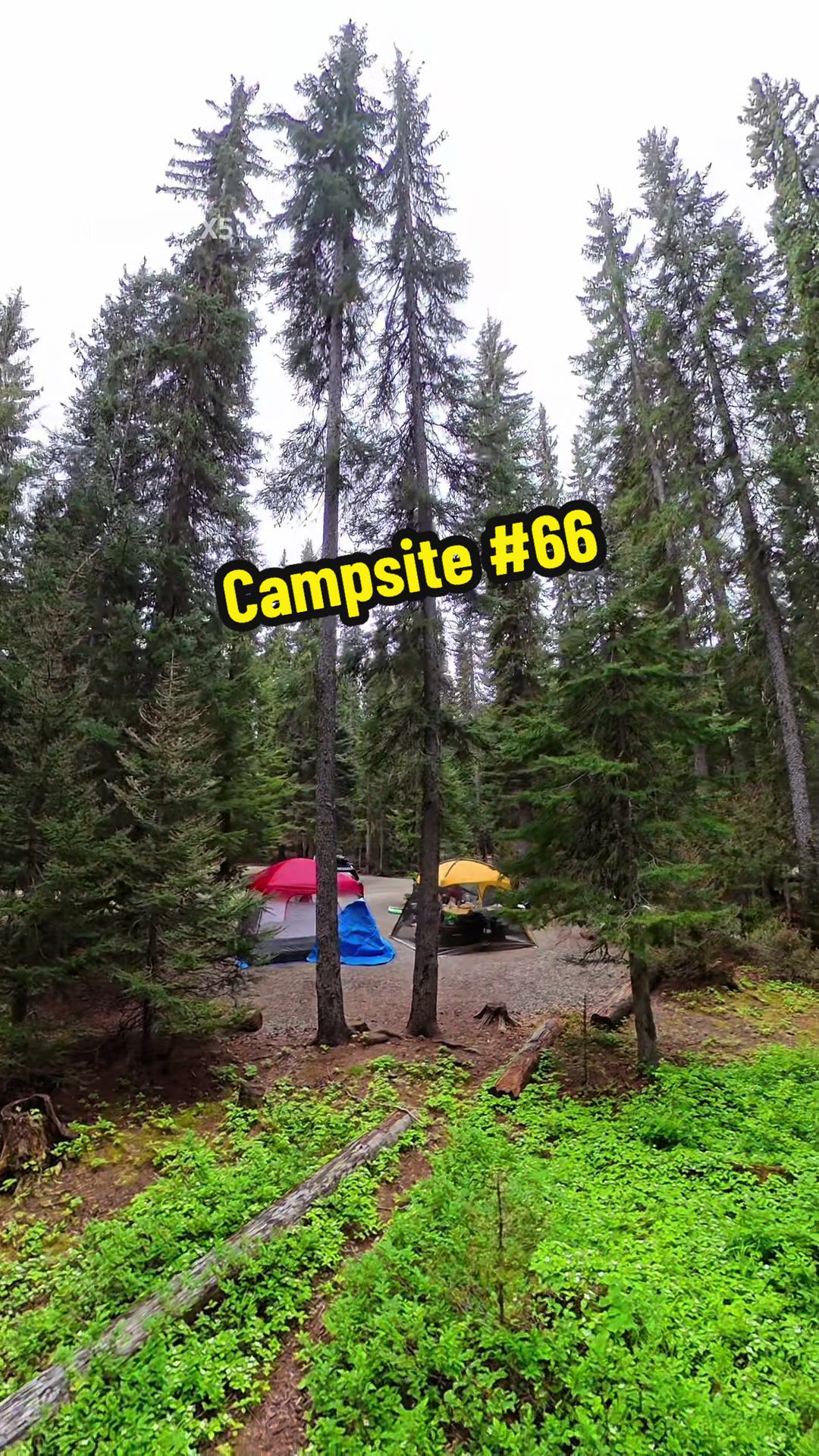 Manning Provincial Park - Lightning Lake