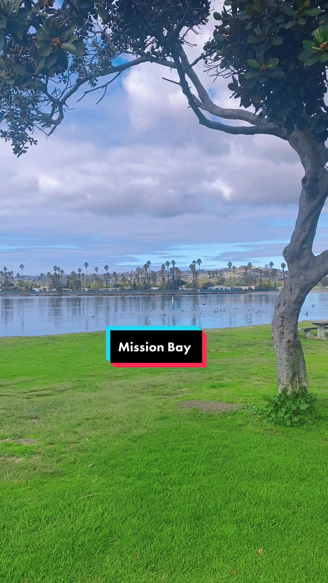 Manson Bay Park