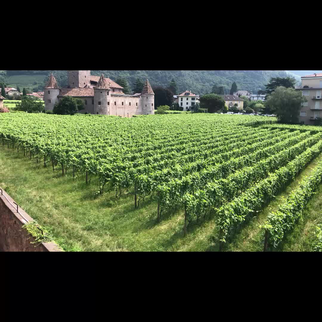 Maretsch Castle (Castel Mareccio)