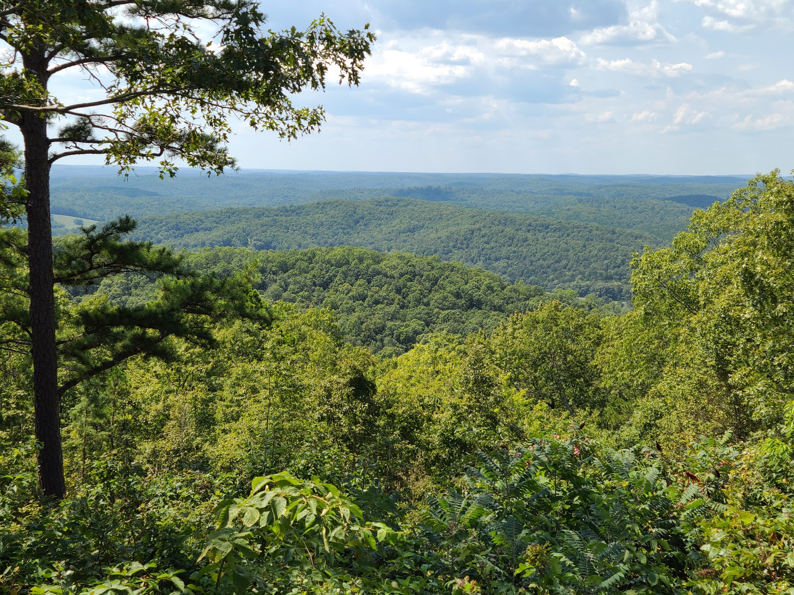 Mark Twain National Forest