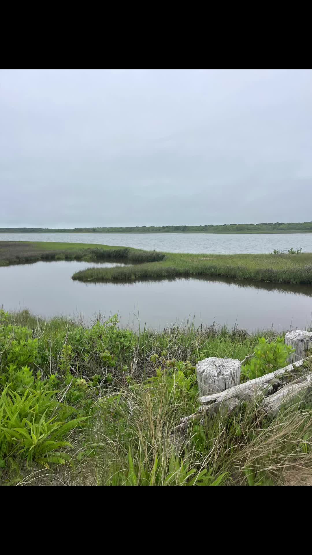 Martha's Vineyard