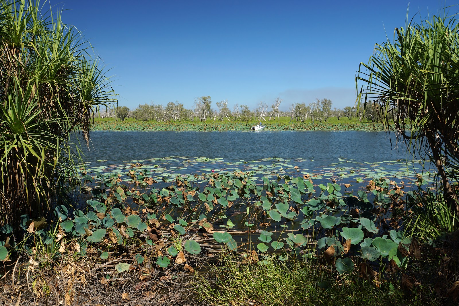 Mary River National Park