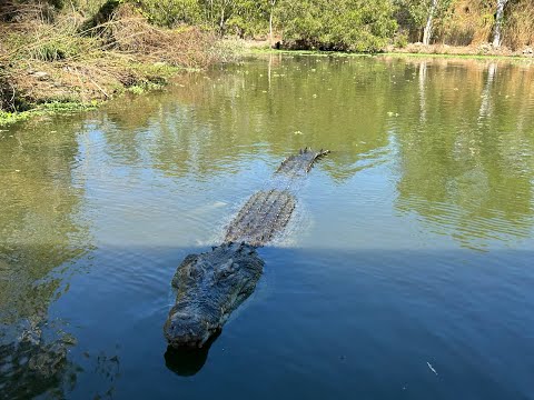 Mary River National Park