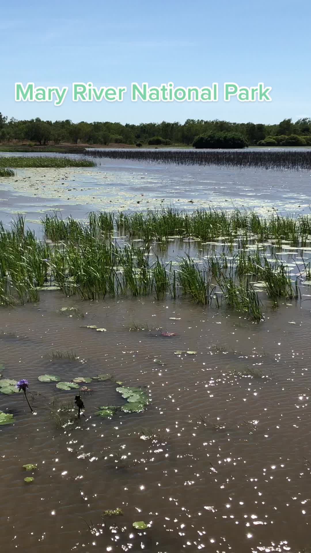 Mary River National Park