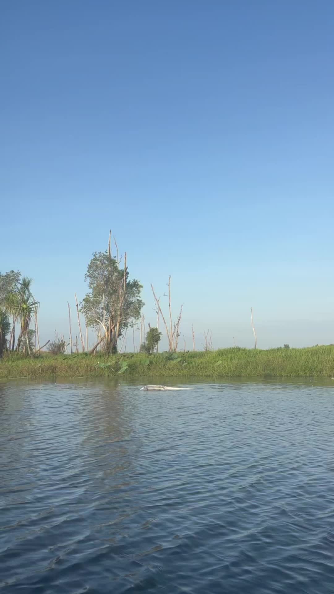 Mary River National Park