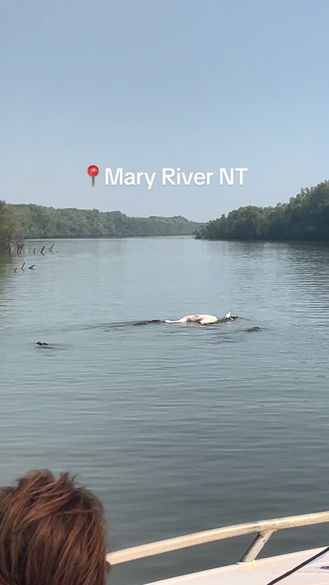 Mary River National Park